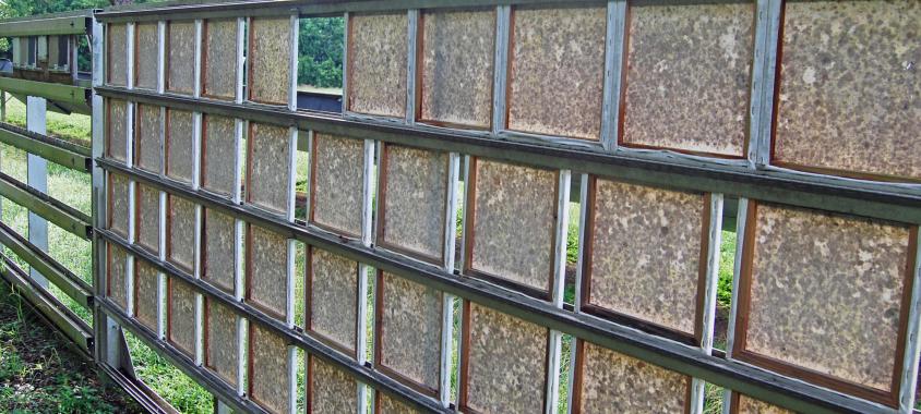 Mildew Exposure Tests