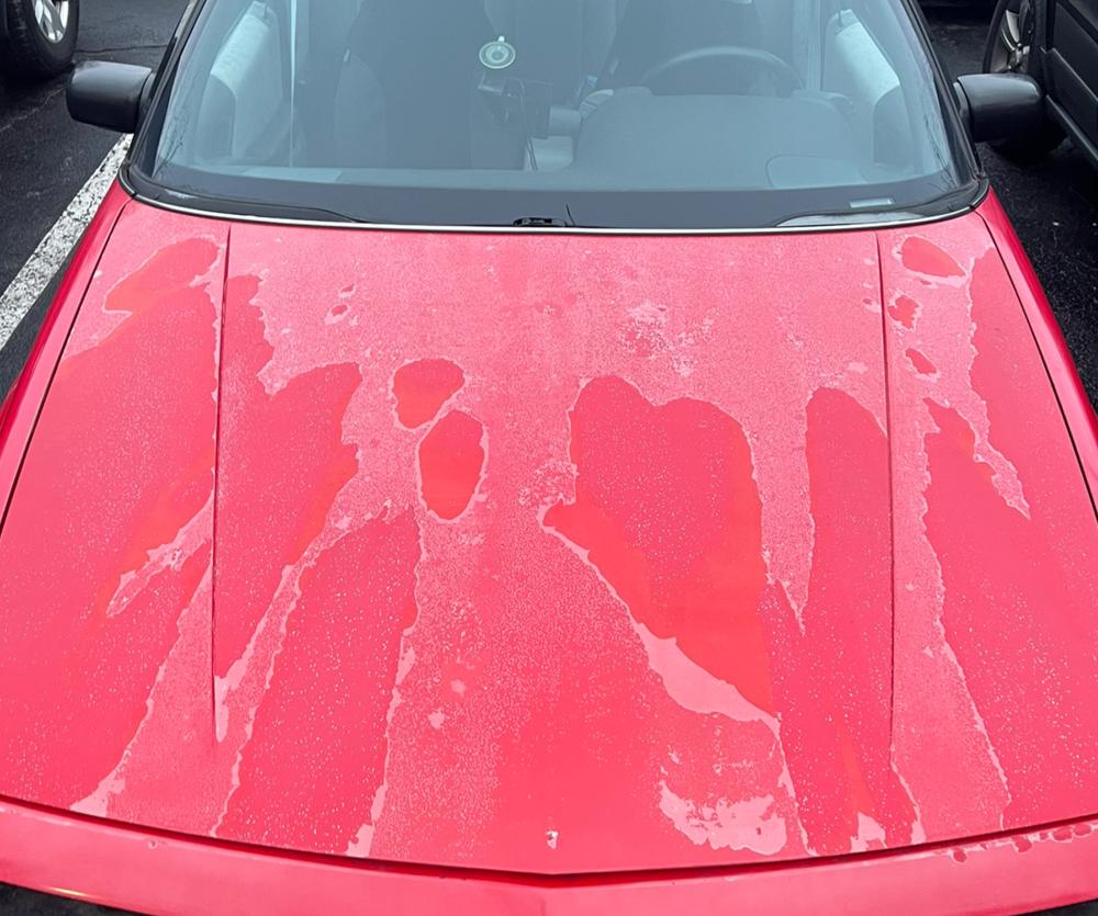 Q-Lab_SAE_J2020_ExteriorAutomotive-UV-Light